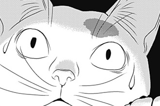第31話 ネコvsご迷惑おかけしております（後編）