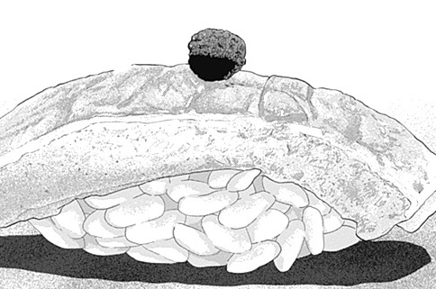 第59話 銀座 鮨水天一碧【中編】